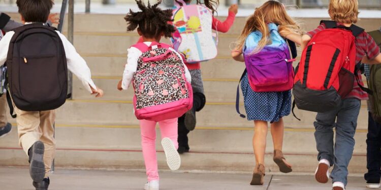 Now 10 bagless days will be mandatory every year, government is strict on heavy school bags of children