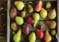 Pear is the cure for digestive diseases, know the advantages and disadvantages of its consumption.