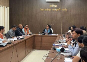 Promote e-governance, ensure transparency of services: Priyanka Goswami