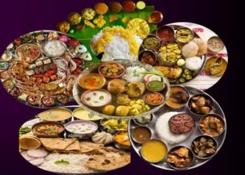 Protein crisis deepens in India, people are fulfilling half of their diet from rice and wheat: Study