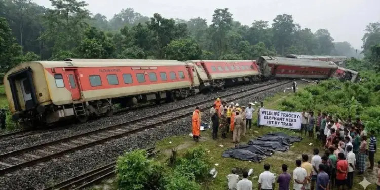 Rajdhani Express train collides with elephants in Hojai, Assam, seven elephants died.