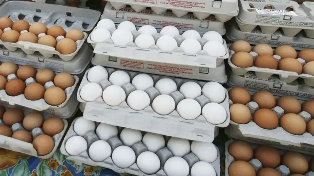 Record breaking rise in egg prices! Price increased by 50% in winter, know why the common man's protein became expensive?