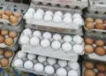 Record breaking rise in egg prices! Price increased by 50% in winter, know why the common man's protein became expensive?
