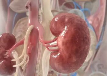 Risk to kidney health may increase in winter, know how to stay safe