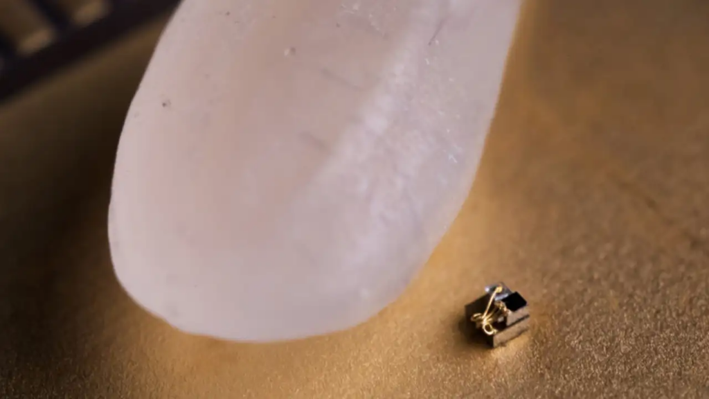 Scientists have created the world's smallest robot! Performs tasks many times larger than its size