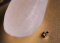 Scientists have created the world's smallest robot! Performs tasks many times larger than its size