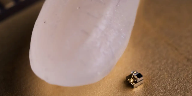 Scientists have created the world's smallest robot! Performs tasks many times larger than its size