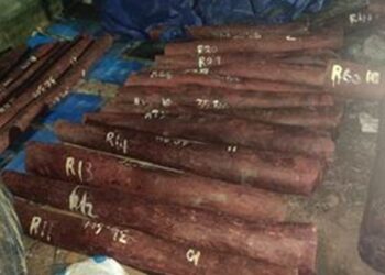 Smuggling of red sandalwood worth Rs 6.26 crore from Chennai foiled, 4 accused arrested