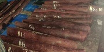 Smuggling of red sandalwood worth Rs 6.26 crore from Chennai foiled, 4 accused arrested