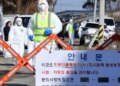 South Korea: Highly contagious bird flu hits, duck farm hit
