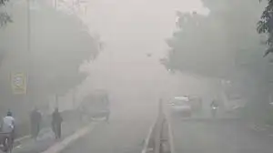Terrible fog, zero visibility and crawling speed… Fog-smog blanket over Delhi-NCR