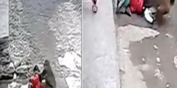 The girl was playing outside the house, then a monkey started kidnapping her, see what happened next