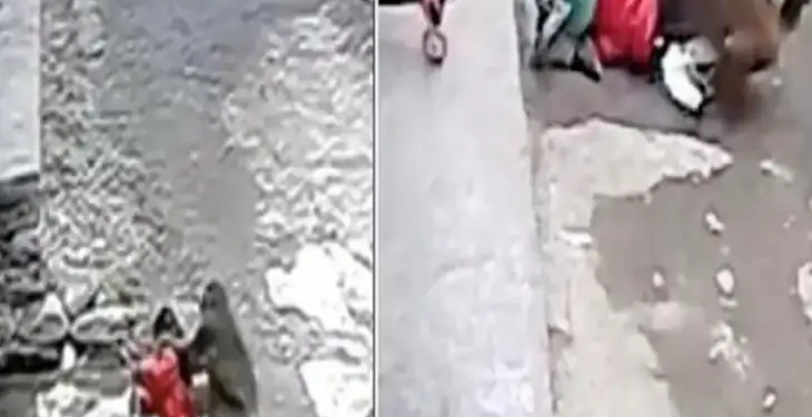 The girl was playing outside the house, then a monkey started kidnapping her, see what happened next