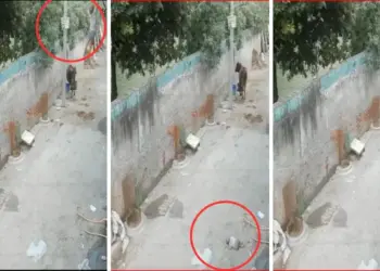 There was no railing on the roof, 9 month old baby fell down while playing, video goes viral