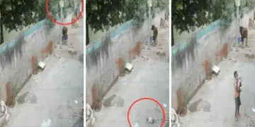 There was no railing on the roof, 9 month old baby fell down while playing, video goes viral