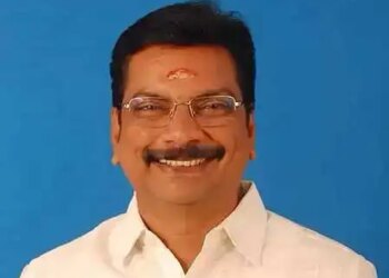 थिरुमावलवन ने चुनावी लाभ के लिए वीसीके को डीएमके के हवाले किया: एएनएस प्रसाद