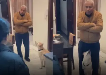 This love filled video of dog went viral on social media, people said - 'He has won my heart brother'