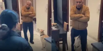This love filled video of dog went viral on social media, people said - 'He has won my heart brother'