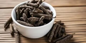 To improve digestion and immunity, consume Pippali, weakness will also go away.