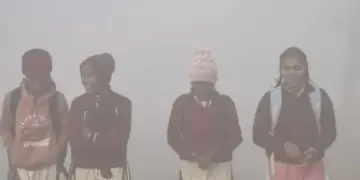 UP: Schools closed in Sambhal, Amethi and Sitapur due to severe cold, holiday declared till 24th December