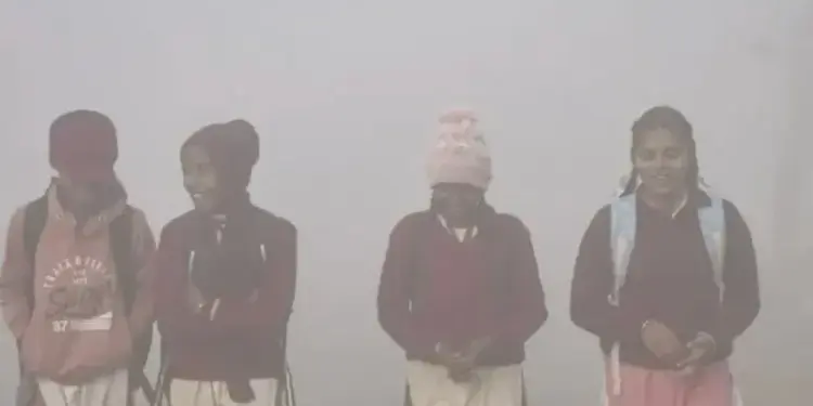 UP: Schools closed in Sambhal, Amethi and Sitapur due to severe cold, holiday declared till 24th December