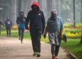 Walking at this time in winter strengthens the heart and lungs and also reduces weight.