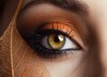 Why is Vitamin A important for eyes? Due to deficiency the body becomes weak