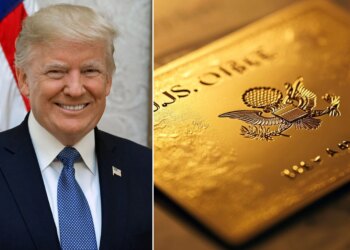 You will have to pay a price of Rs 9 crore to live in America! Know what is Trump's Gold Card Visa plan? how to apply