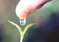 Purushartha: Pursuit of value based goals of human life