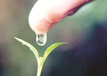 Purushartha: Pursuit of value based goals of human life