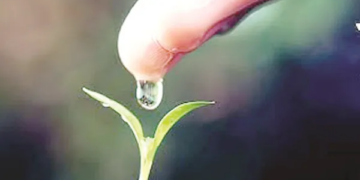 Purushartha: Pursuit of value based goals of human life