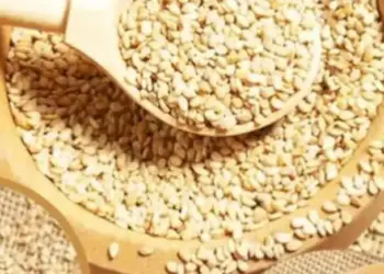 5 best ways to eat sesame seeds in winter, which will keep the body warm and strong from inside