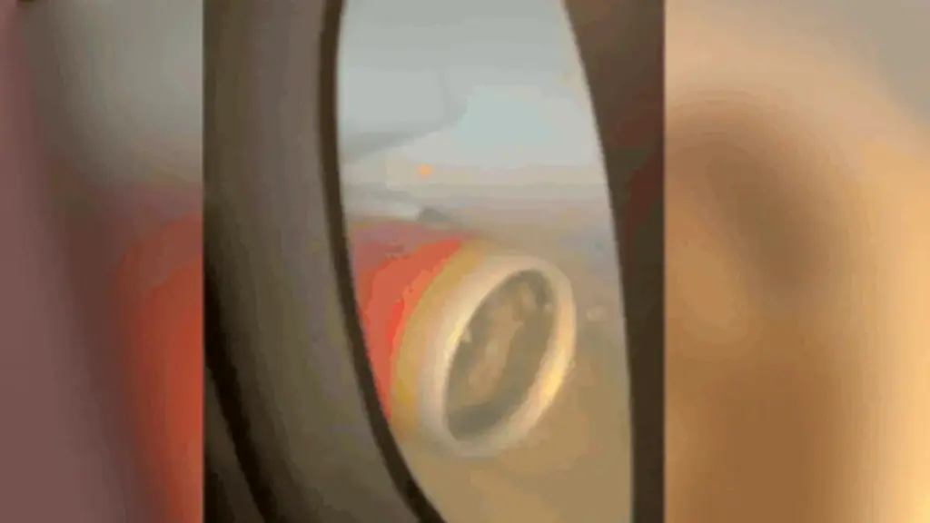Air India's Delhi-New York flight had to return due to closure of Iran's airspace, then a baggage container entered the engine while taxiing in Delhi.