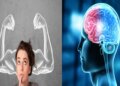 Are you troubled by weakening memory? Adopt these panacea remedies to increase brain power, you will see the difference in a few days.