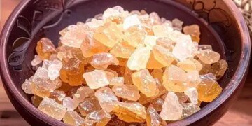 Ayurvedic medicinal gum is the cure for every disease, know when to consume which.