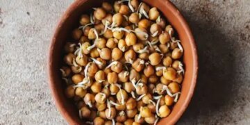 Black gram: Not a heavy but balanced diet. Black gram is lifesaver for muscles.