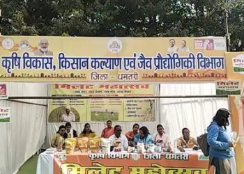 Chhattisgarh: Millet Festival in Dhamtari, Dr. Khadar Wali told the benefits of millet grain