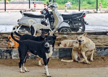 Claim of teachers counting dogs is false, Delhi Police registers FIR