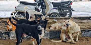 Claim of teachers counting dogs is false, Delhi Police registers FIR