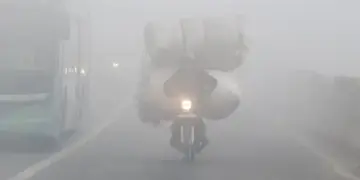 Cold wave continues to wreak havoc in Rajasthan, yellow alert issued for eastern-western parts