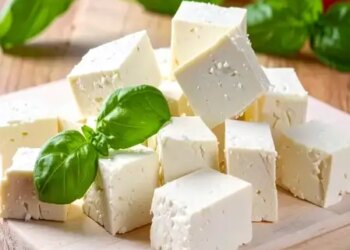 Consumption of cheese in winter is a boon for bones, chances of joint pain are reduced.