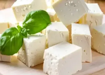 Consumption of cheese in winter is a boon for bones, joint pain will also go away.