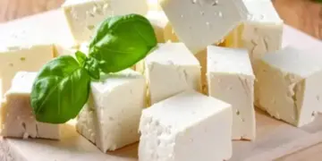 Consumption of cheese in winter is a boon for bones, joint pain will also go away.