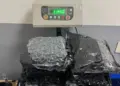 Delhi Airport: Ganja and cigarettes worth Rs 43 crore seized from 4 passengers coming from Bangkok, all four arrested