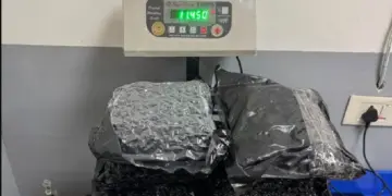 Delhi Airport: Ganja and cigarettes worth Rs 43 crore seized from 4 passengers coming from Bangkok, all four arrested