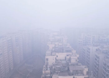 Delhi's air poisonous again: Capital in 'severe' category with 439 AQI, GRAP-IV implemented