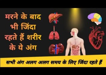 Do you know which organ remains alive the longest after death? You will be surprised to know the answer