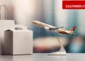 Etihad Airways joins hands with Swiggy and Flipkart, now air travel points will be available on shopping and dining