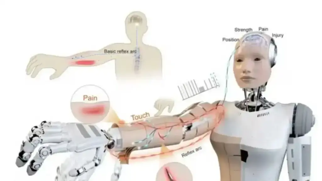 Even robots will feel pain! What is E-Skin technology and how does it work?