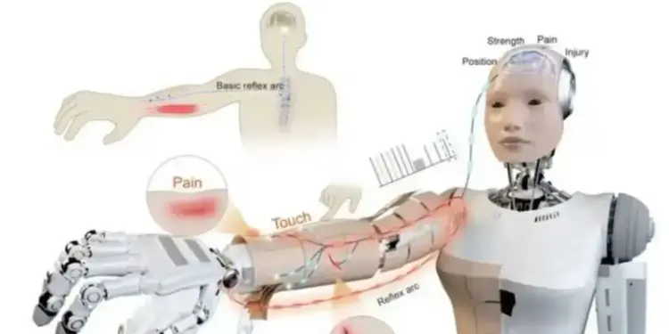 Even robots will feel pain! What is E-Skin technology and how does it work?